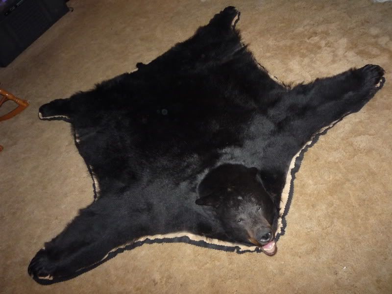 mounting a black bear